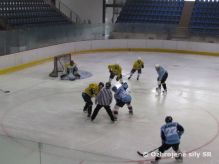 Hokejov turnaj ari Cup 2010